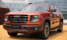 大狗哈弗爆料视频最新版