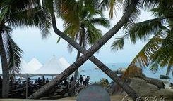 最新海角在线爆料,揭秘最新热点事件内幕